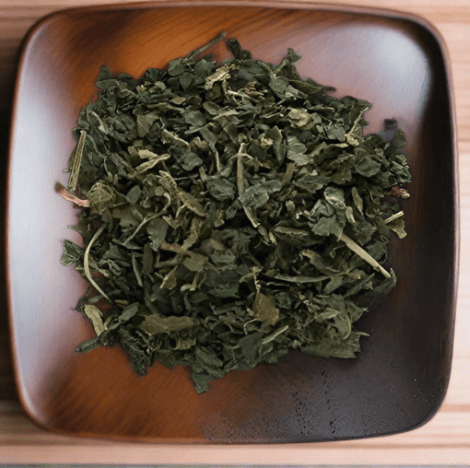 St. Johns Bush (St. Lucia) Dried Herb for Bush Tea