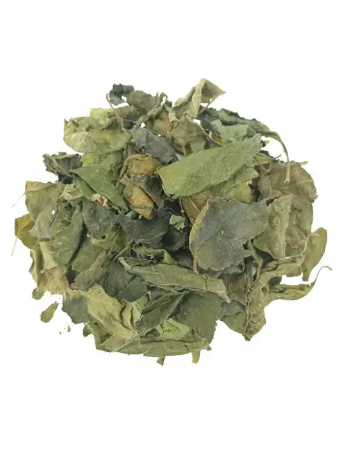 St. Johns Bush (St. Lucia) Dried Herb for Bush Tea